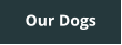 Our Dogs